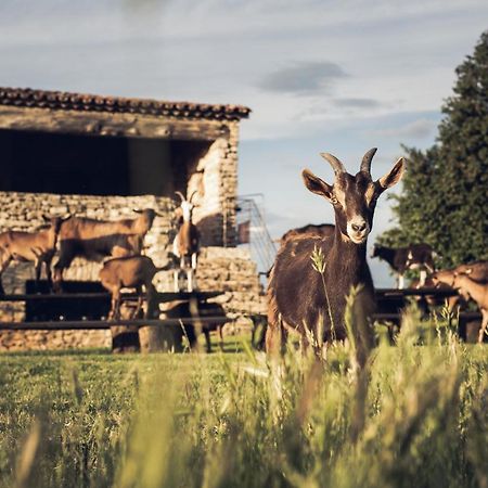 Le Domaine Du Castellas Sivergues Екстер'єр фото