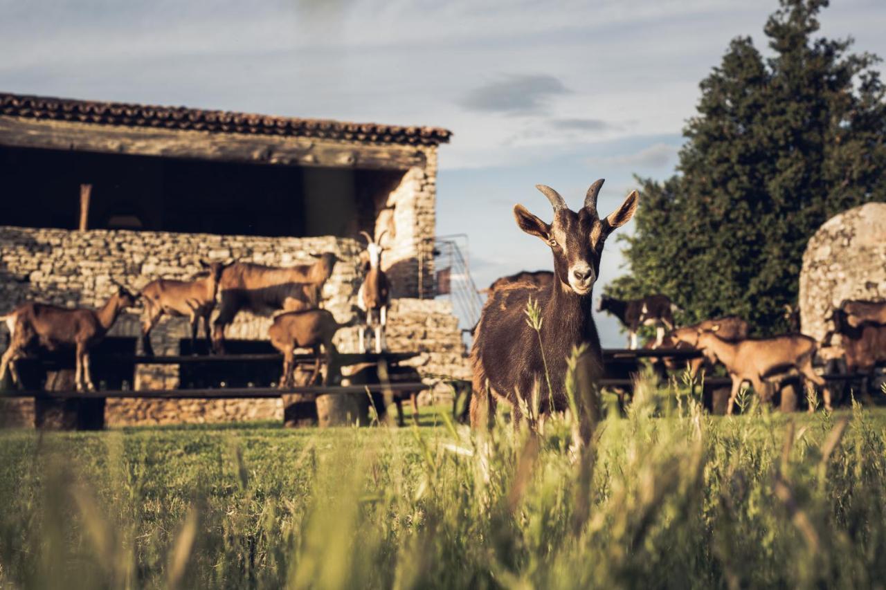 Le Domaine Du Castellas Sivergues Екстер'єр фото